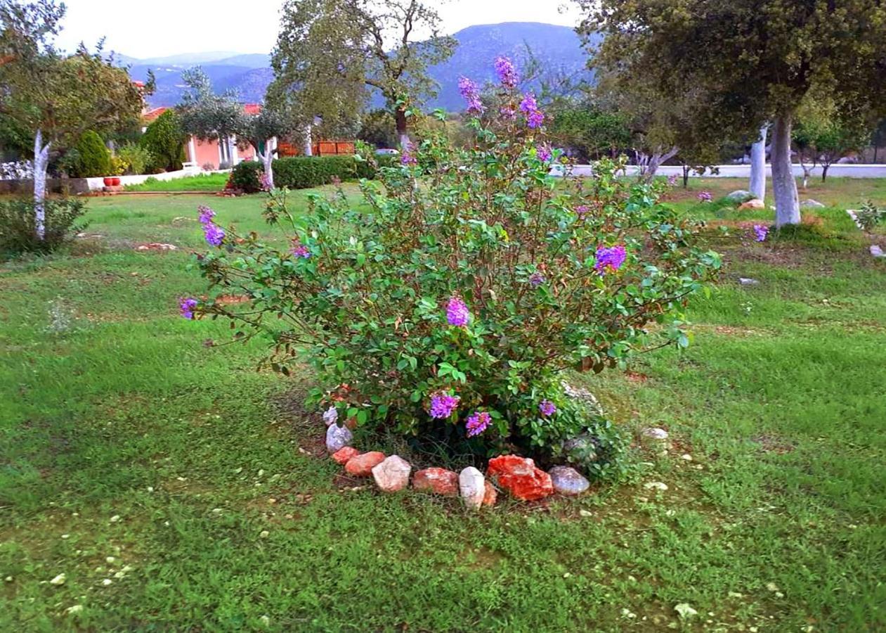 Villa Aelia - A Peaceful And Private Place Argostoli  Bagian luar foto