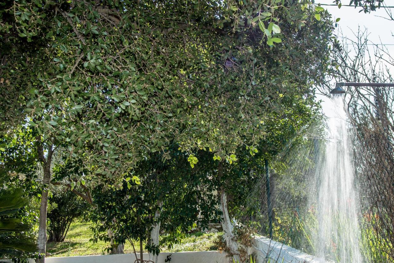 Villa Aelia - A Peaceful And Private Place Argostoli  Bagian luar foto